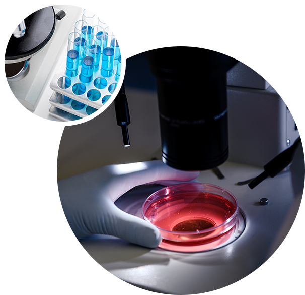 zoty中欧·(中国有限公司)官方网站