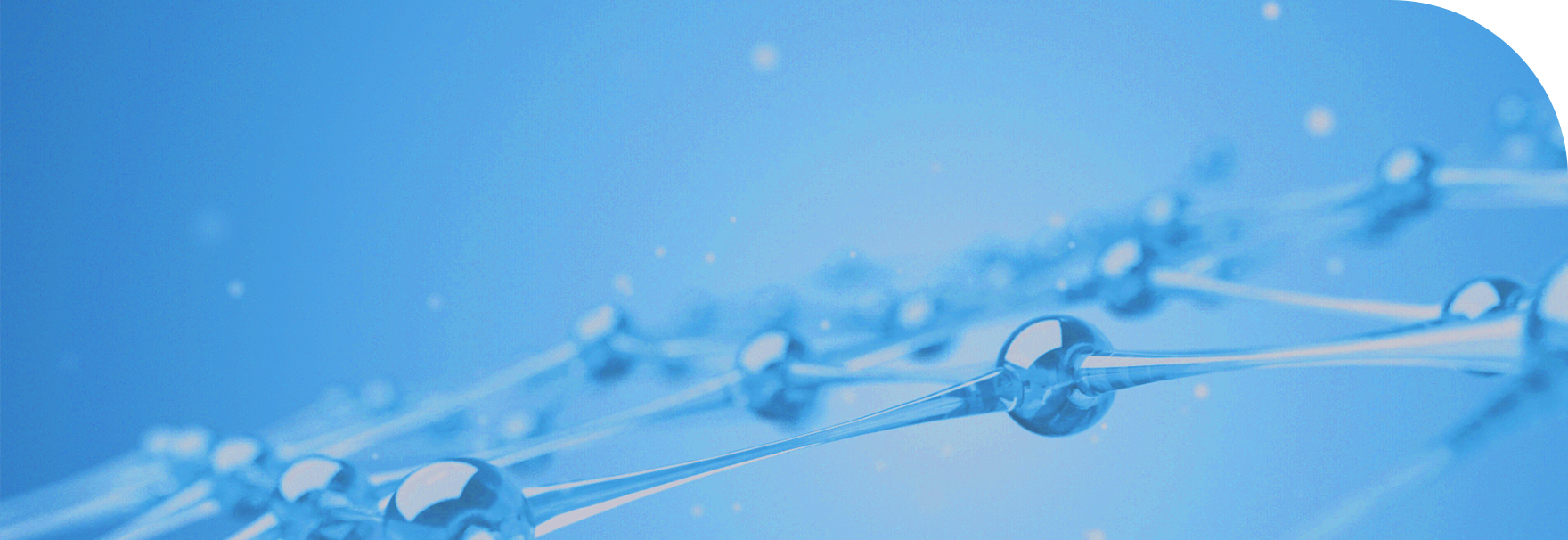 zoty中欧·(中国有限公司)官方网站