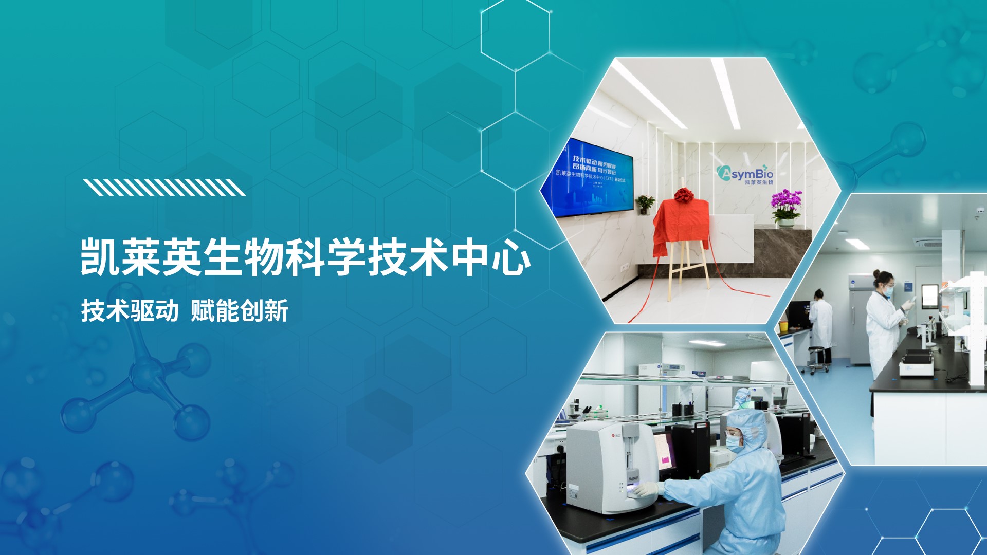 zoty中欧·(中国有限公司)官方网站