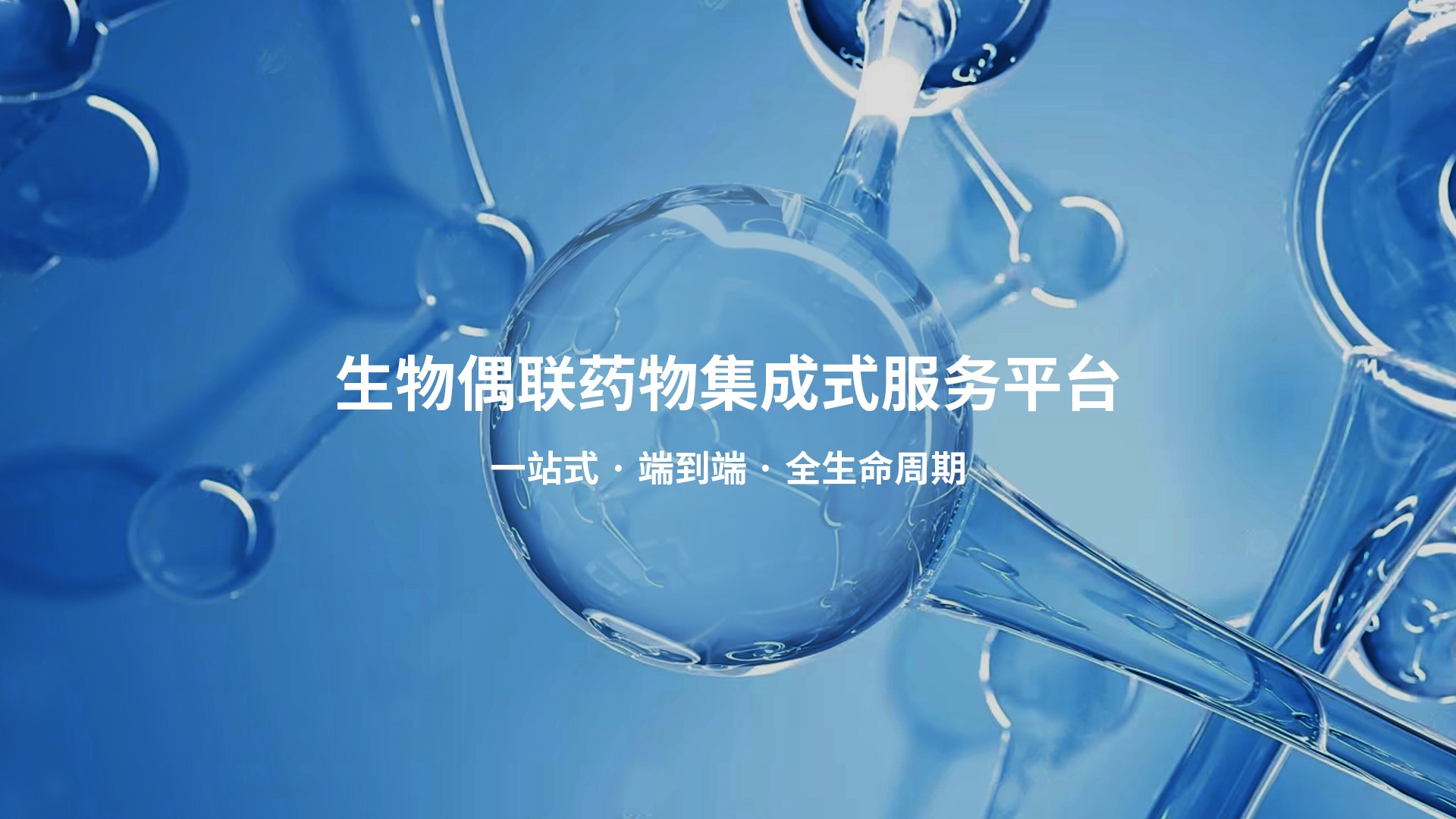 zoty中欧·(中国有限公司)官方网站