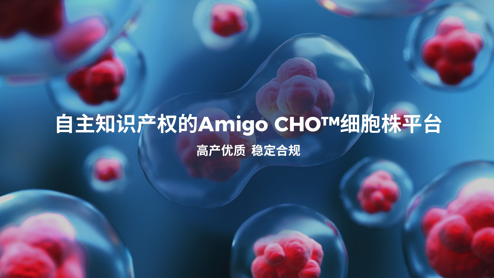 zoty中欧·(中国有限公司)官方网站