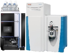 zoty中欧·(中国有限公司)官方网站