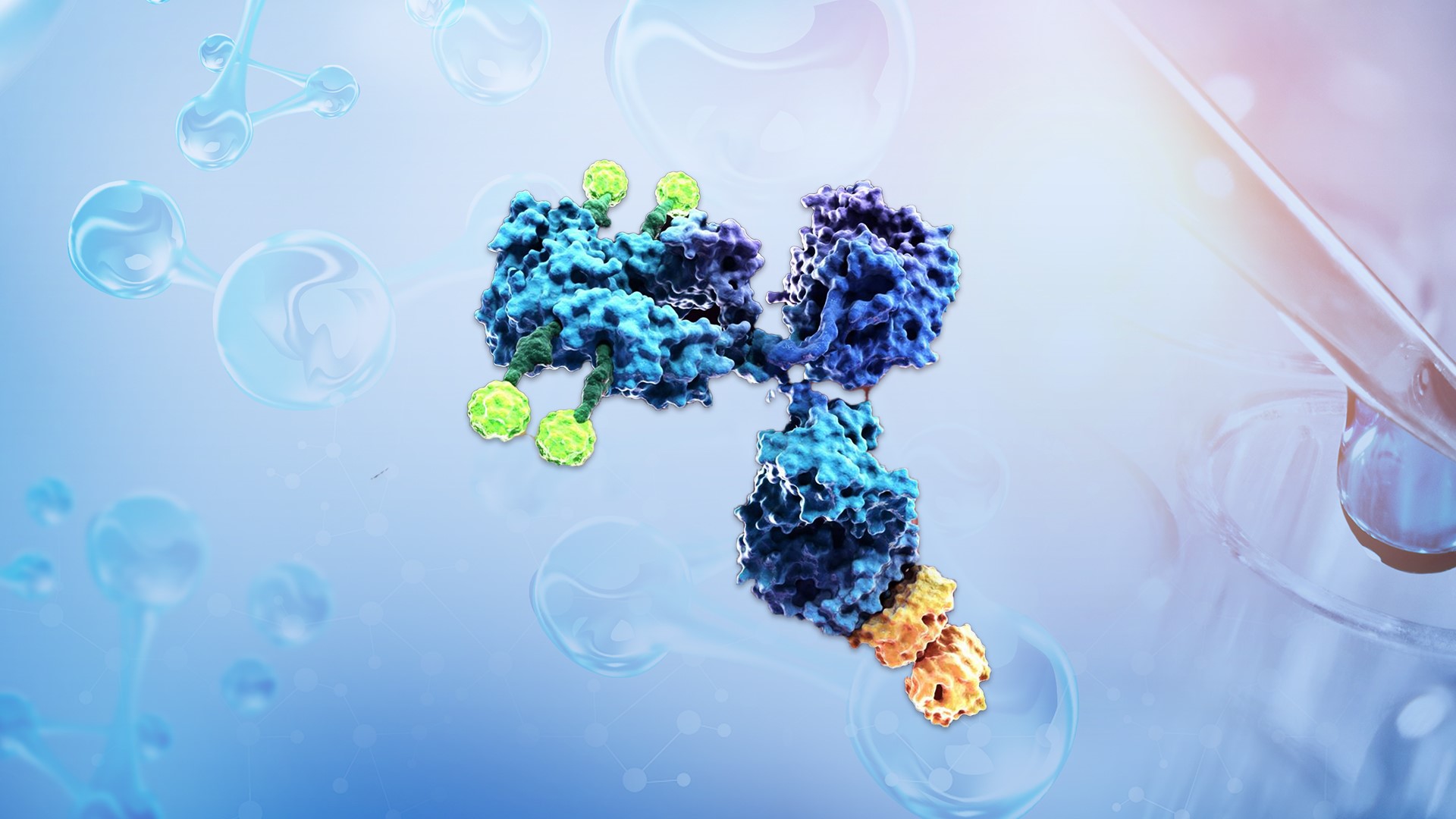 zoty中欧·(中国有限公司)官方网站