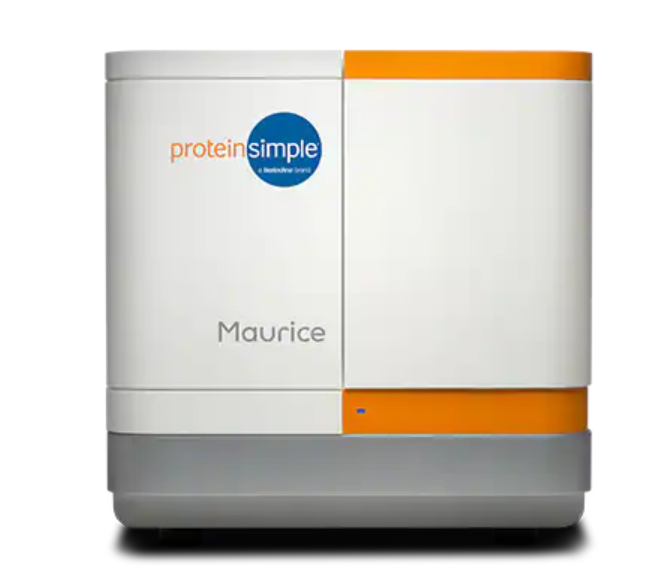 zoty中欧·(中国有限公司)官方网站