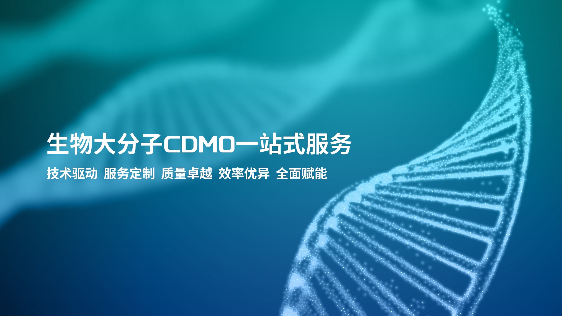 zoty中欧·(中国有限公司)官方网站